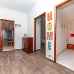 B01 - Marachique